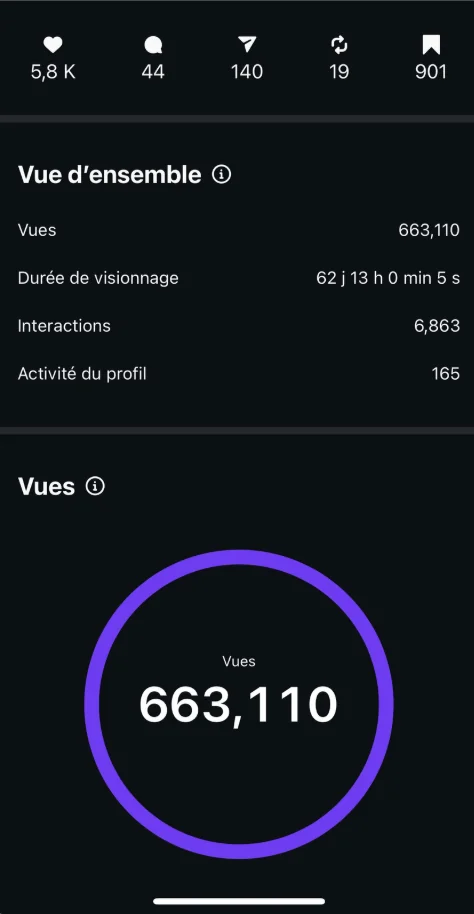 Statistique Instagram — progression d'un compte accompagné
